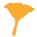 Priehl Cleaning logo