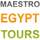 Maestro Online Tours logo