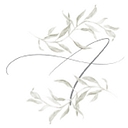 Ana Toniolo Weddings logo