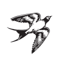 Skylark logo