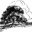 The Prairie Club logo