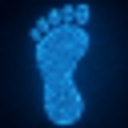 Digital Footprint Removal logo