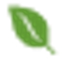 Dietitians of Dallas logo