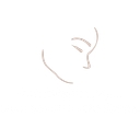 Southwest Florida Oral & Facial Surgery, P.A. logo