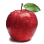 Rittenhouse Farmers' Market logo