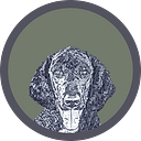 Paws on the Plains logo