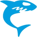 Haivision logo