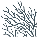PlantSea Ltd. logo
