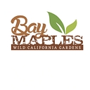 Bay Maples Wild California Gardens logo