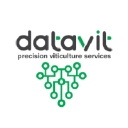 Datavit logo