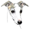 Whippet logo
