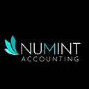 Numint Accounting logo
