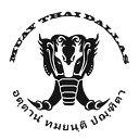 Muay Thai Dallas logo