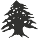 Kannon's Clothing Men's logo