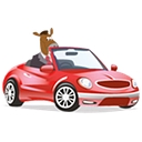 Austin Driving School logo