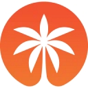 Rich Palms logo