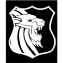Platinum Reputations logo