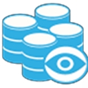 Datasentinel logo