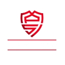MPSI Security Inc. logo