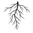 Herbal Rootz logo