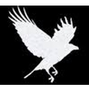 Murder of Crows Barbell & Fitness logo