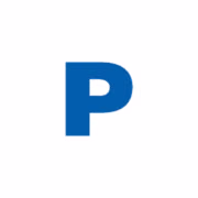 Point Insurance logo