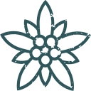 Wild Connections Photography logo