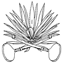 Palomo Mezcal logo