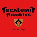 Tecalemit logo