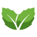insidermint.com favicon