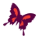 Absolute Senior Care Placement logo