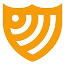 Defended Solutions logo