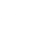Big Tree Innovation Fund logo