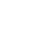 Junk Geni logo