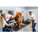 K-9 Express Mobile Dog Grooming logo