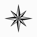 Star Cleaning Moving logo