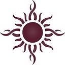 DNS Capital logo