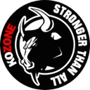 KO ZONE logo