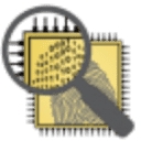 Expert Data Forensics logo
