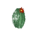 Phoenix Desert Nursery logo