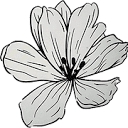 Bloom In A Box KC logo