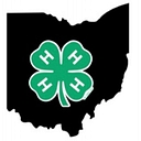 Ohio4H logo