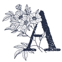 Anna Delores Photography logo