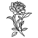 Bloom CLT logo