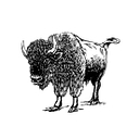 BuffaloResearch.com logo