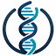 evo-byte.com favicon