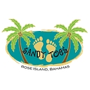 Sandy Toes logo