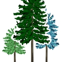 Pinewoods Montessori logo