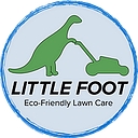 Little Foot logo