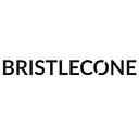 Bristlecone IBPNow for Semicon logo